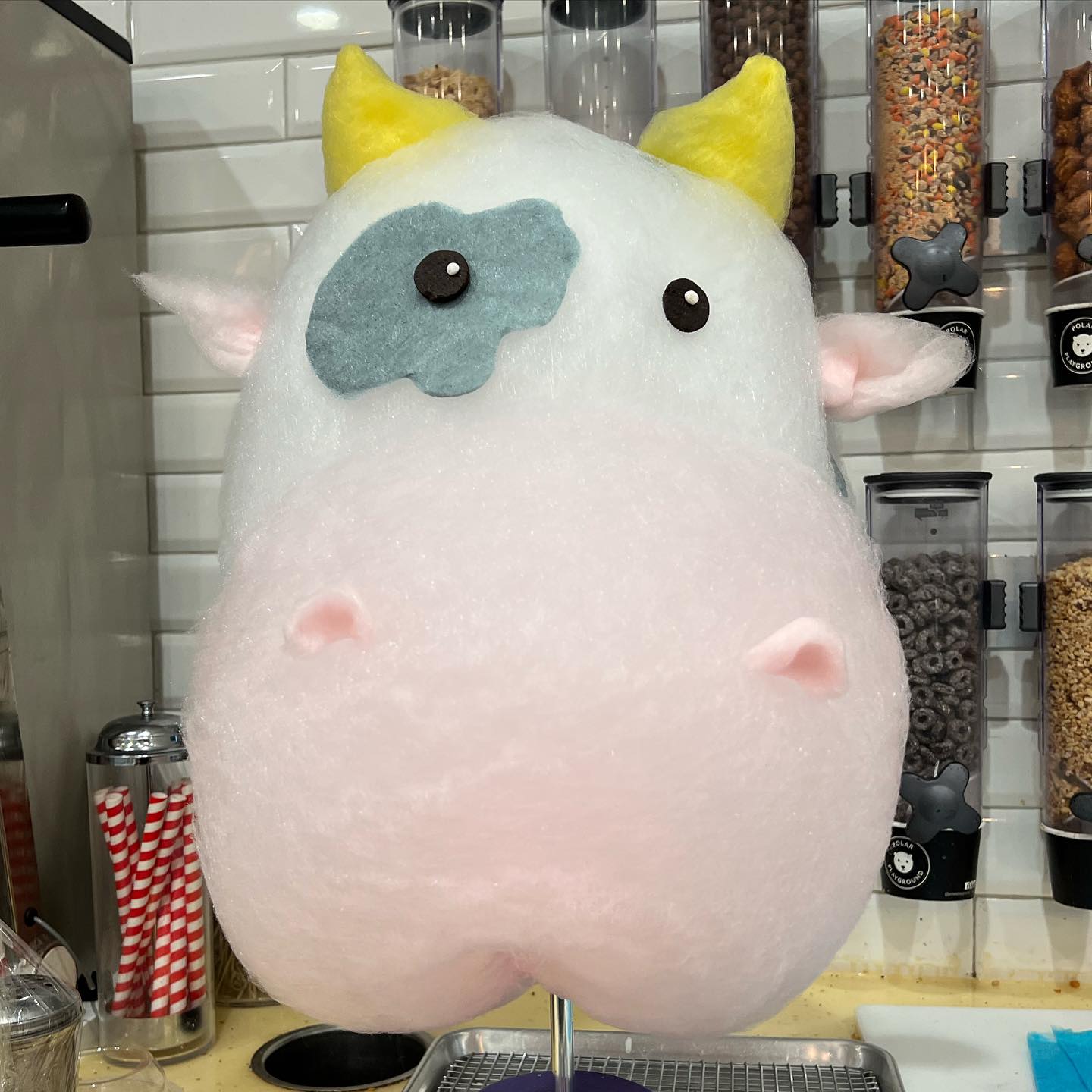 Cotton Candy Cow