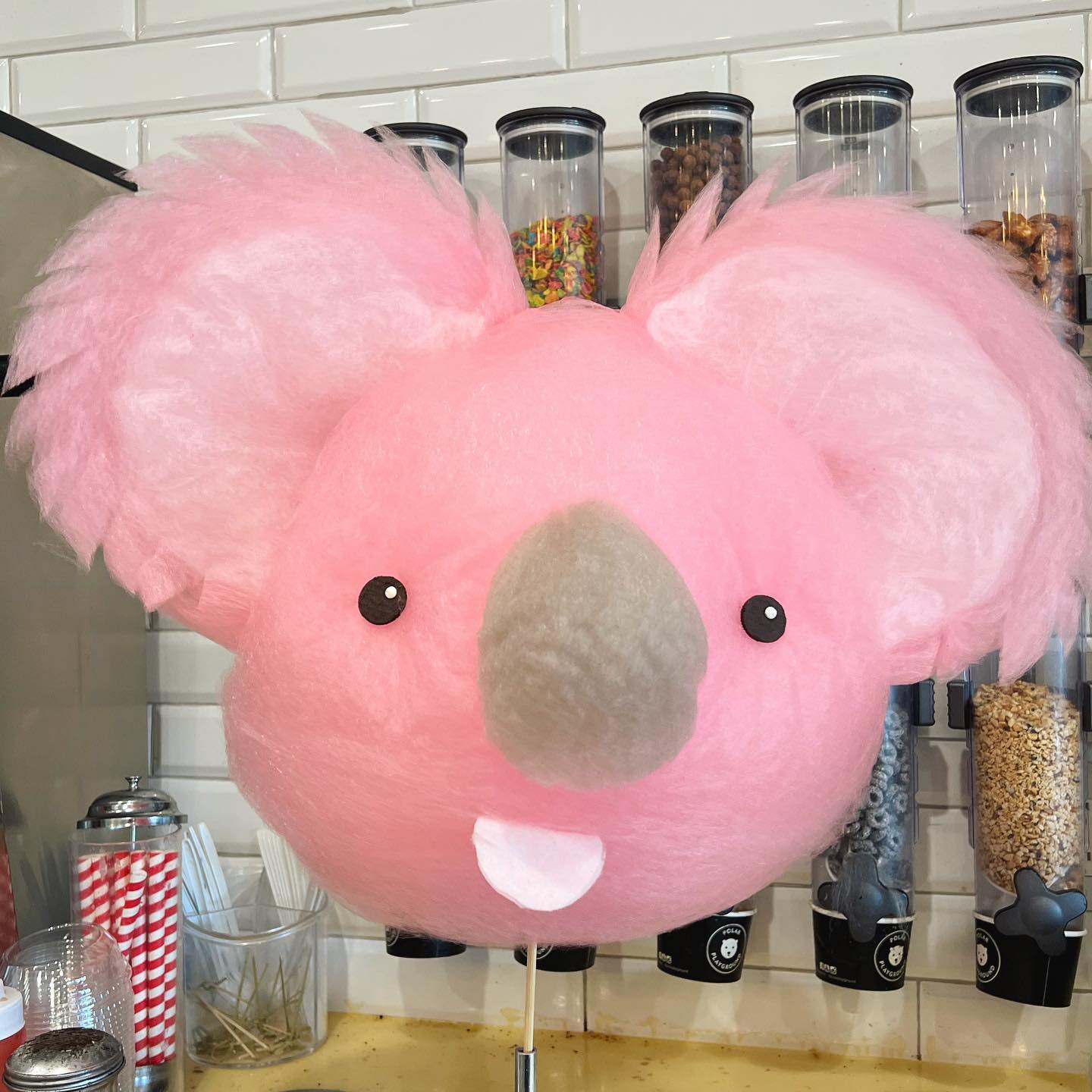 Cotton Candy Koala